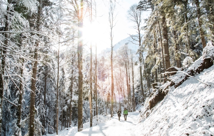 Winterwandern