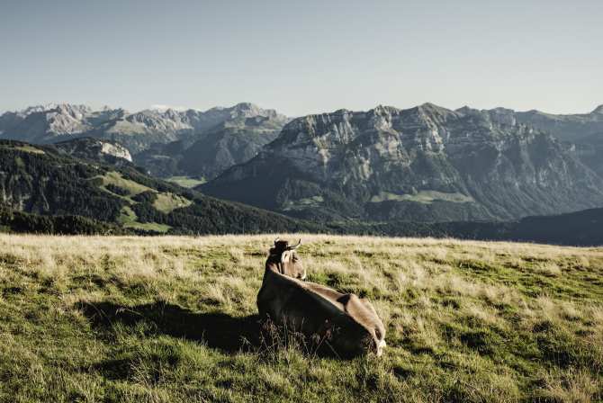 Bregenzerwald