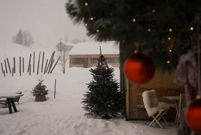 Weihnachten im Fuchsegg