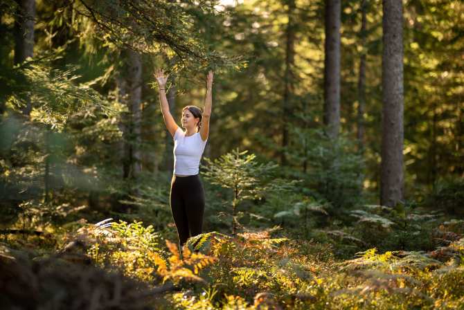 Waldbaden Wellness Wandern 