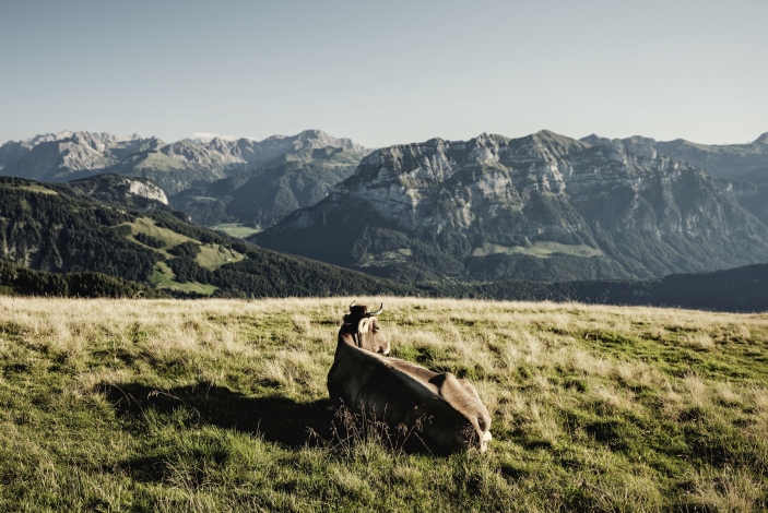 Bregenzerwald
